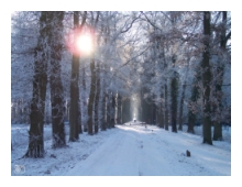 winterlandschap